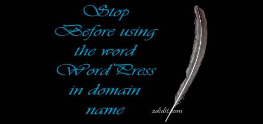 using-word-WordPress-in-domain-name