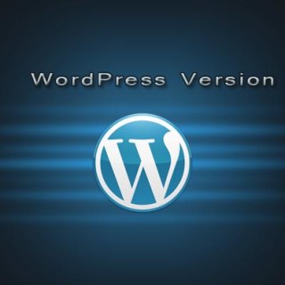 how-to-remove-wordpress-version-number