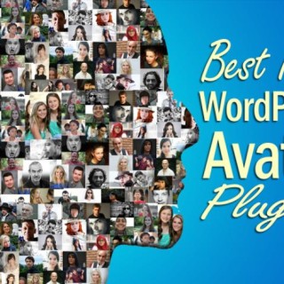 wordpress-avatar-plugin-wordpress-plugin