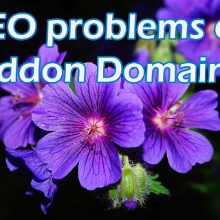 SEO-problems-of-having-multiple-domains