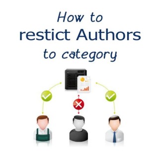 how-to-restrict-authors-to-a-specific-category